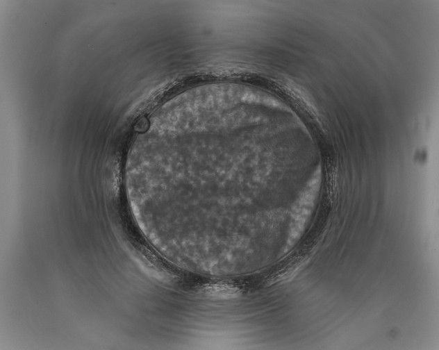 X0000089920644200707271737