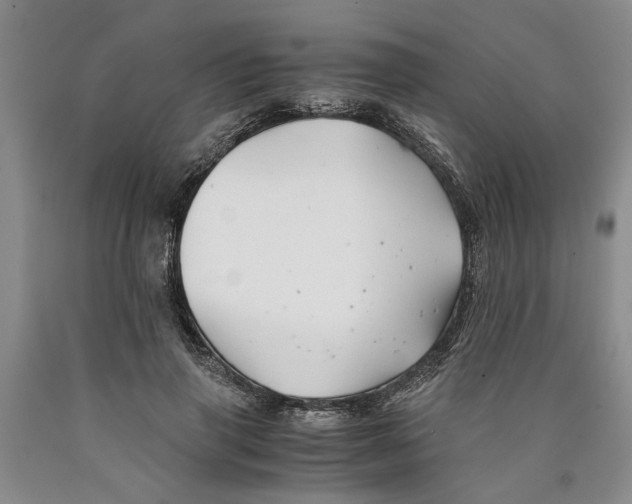 X0000089920645200707271737