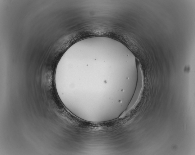 X0000089920646200707271737