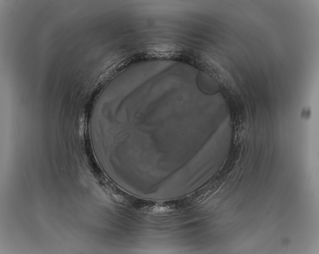 X0000089920647200707271737