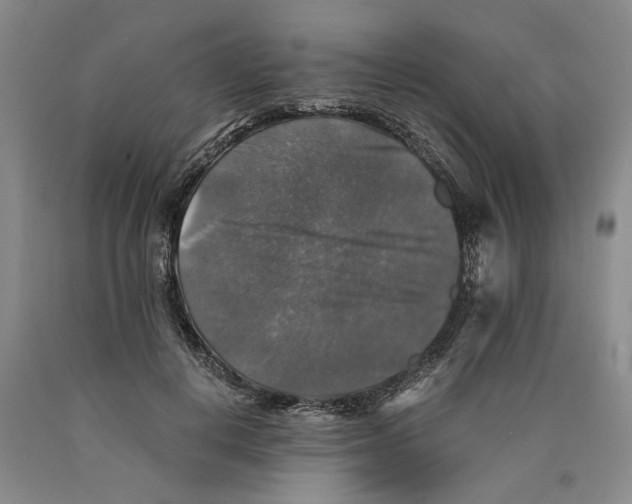 X0000089920648200707271737