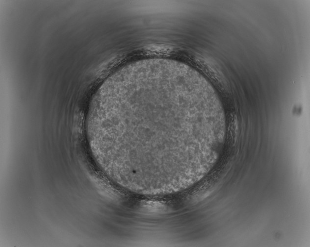 X0000089920649200707271737