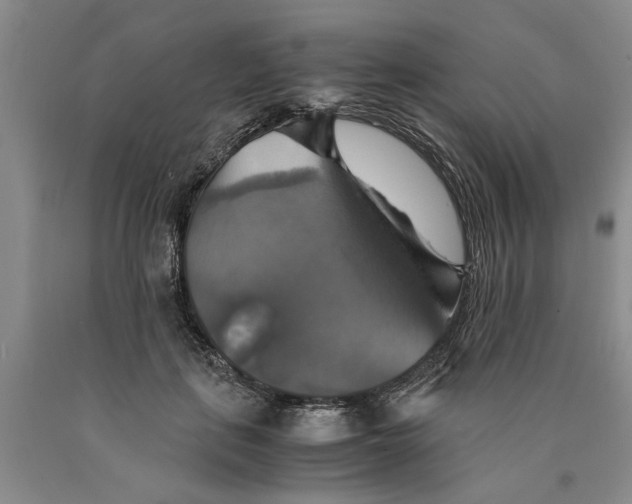 X0000089920651200707271737