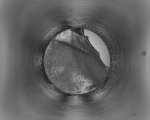 X0000089920652200707271737