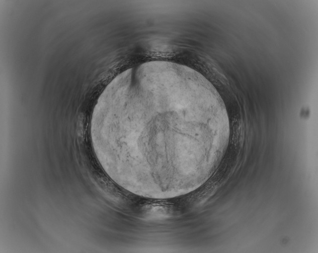 X0000089920655200707271737