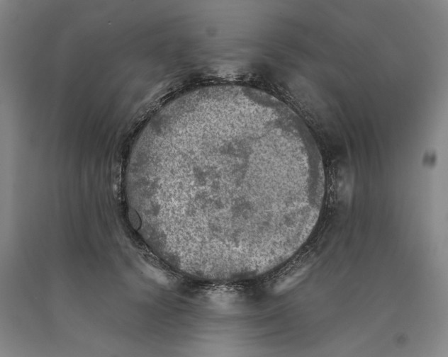 X0000089920656200707271737