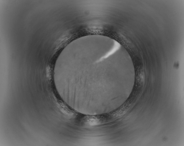 X0000089920658200707271737