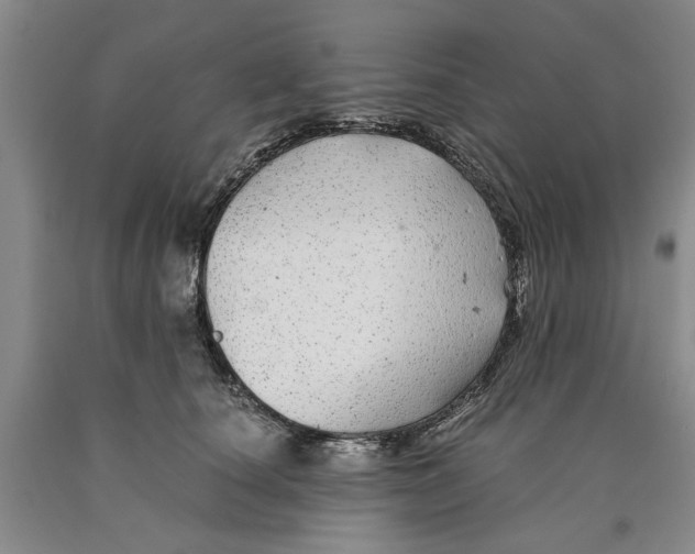 X0000089920660200707271737