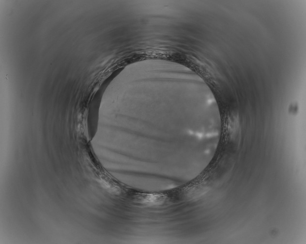 X0000089920663200707271737