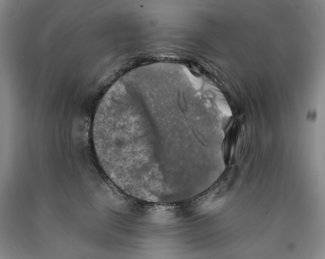 X0000089920664200707271737