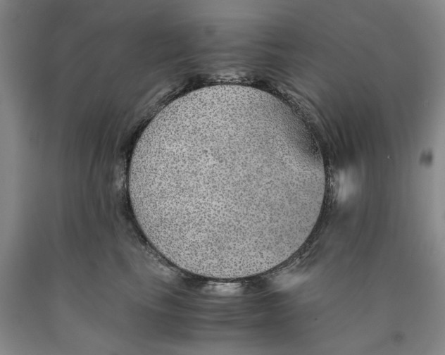 X0000089920665200707271737