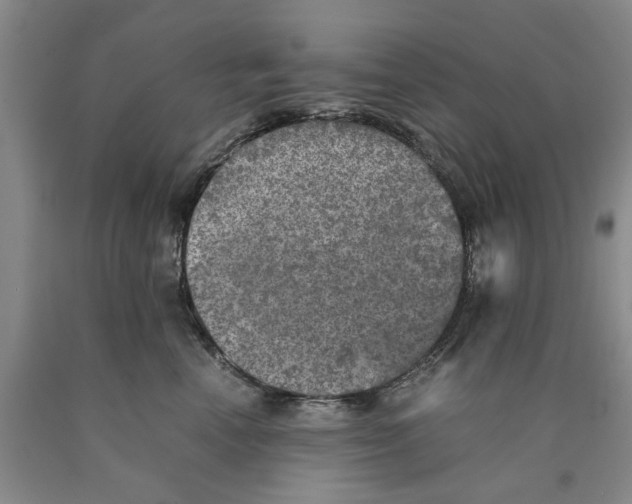 X0000089920666200707271737