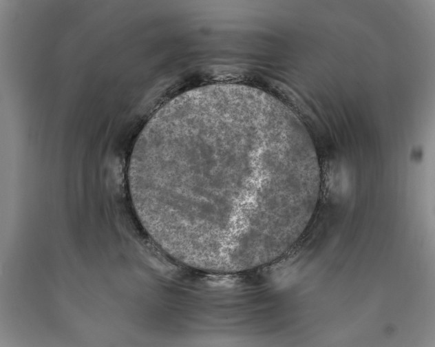 X0000089920667200707271737