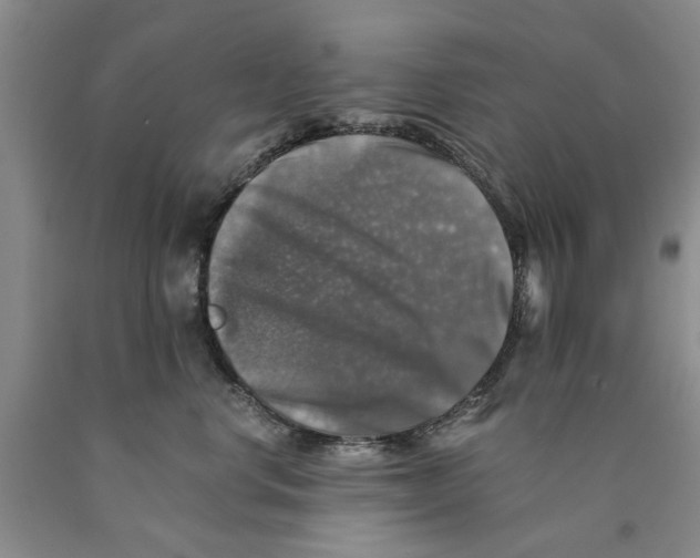 X0000089920668200707271737