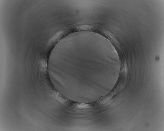 X0000089920669200707271737