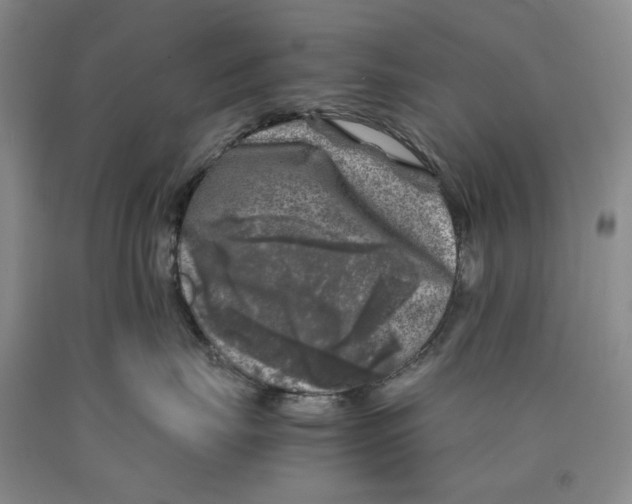 X0000089920671200707271737