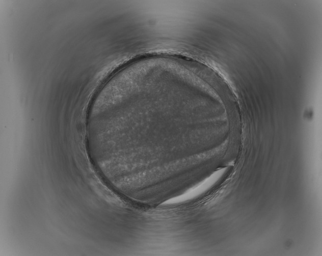 X0000089920673200707271737