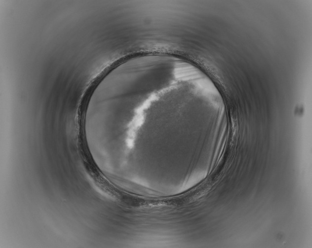 X0000089920674200707271737