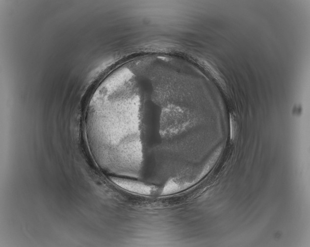 X0000089920675200707271737