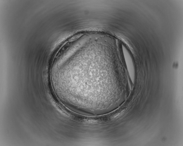 X0000089920677200707271737