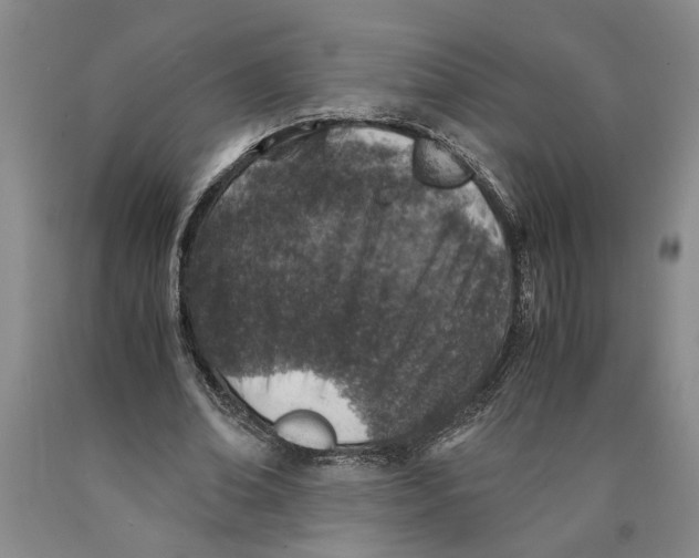 X0000089920678200707271737