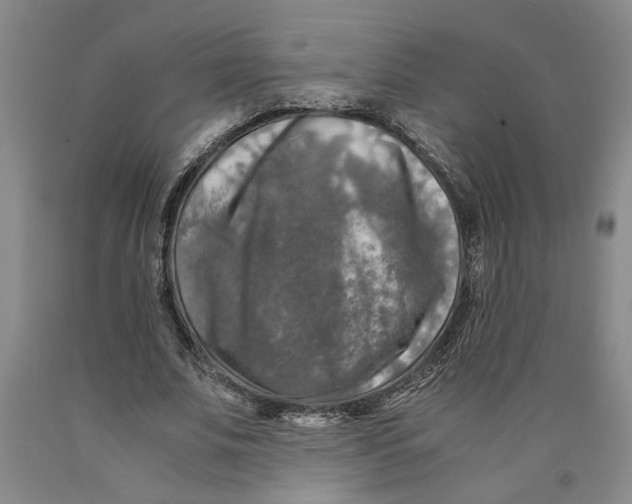 X0000089920679200707271737