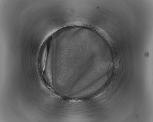 X0000089920680200707271737