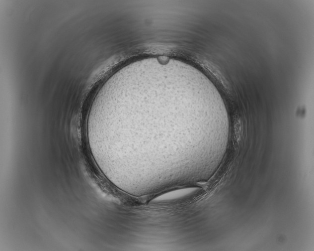 X0000089920682200707271737