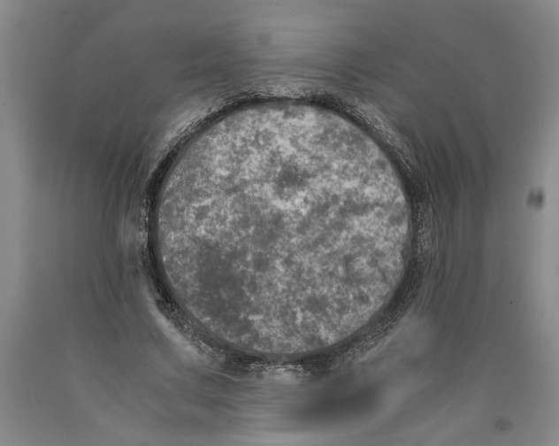 X0000089920683200707271737