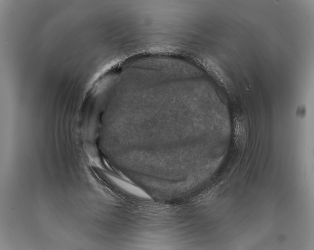 X0000089920684200707271737