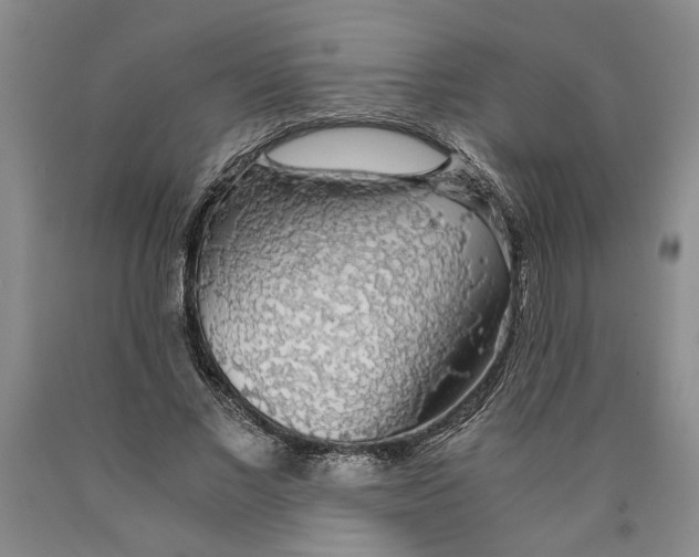 X0000089920685200707271737