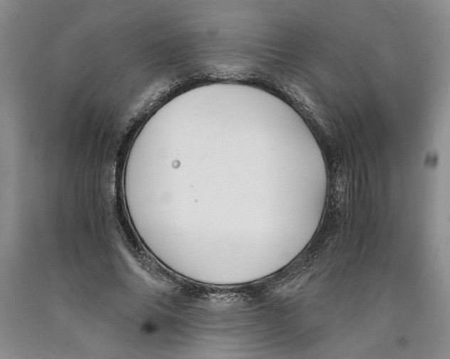 X0000089920686200707271737