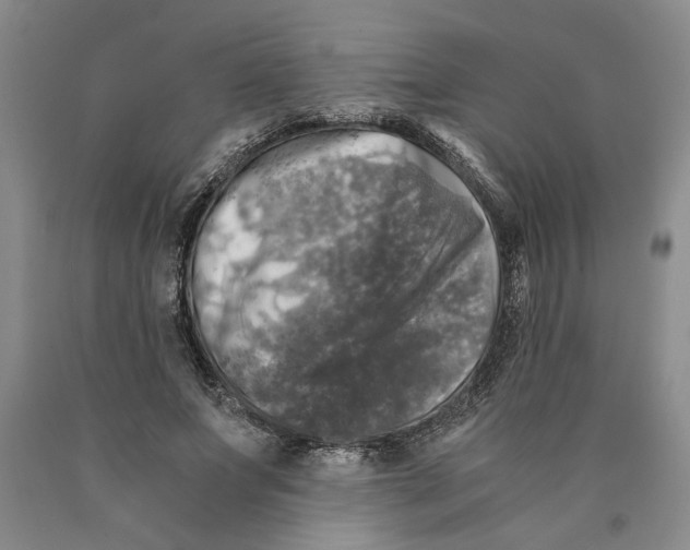 X0000089920687200707271737