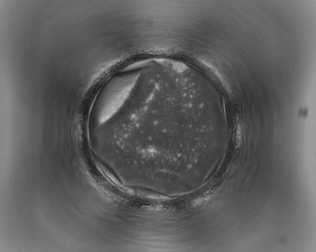 X0000089920688200707271736