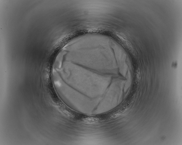 X0000089920691200707271736