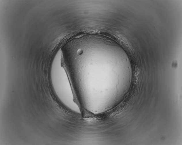 X0000089920693200707271736