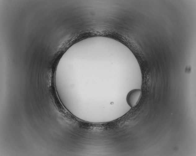 X0000089920694200707271736