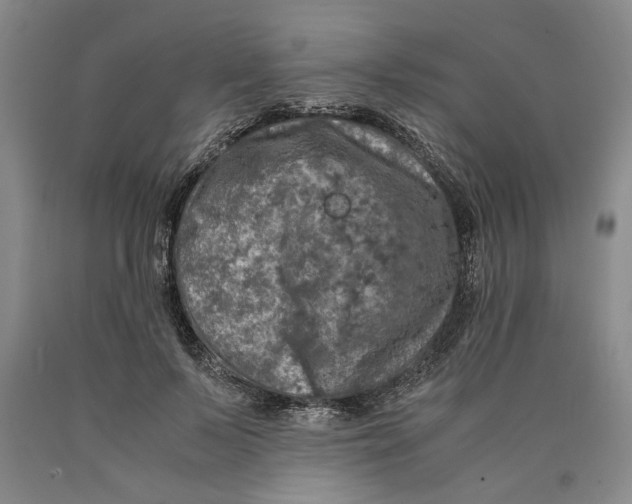 X0000089920695200707271736