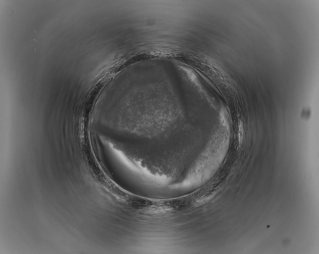 X0000089920696200707271736