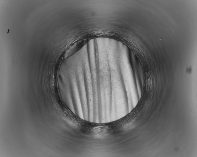 X0000089920700200707271736