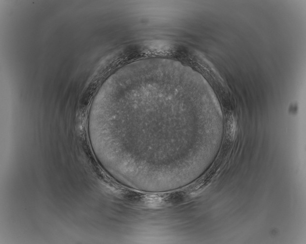 X0000089920701200707271736