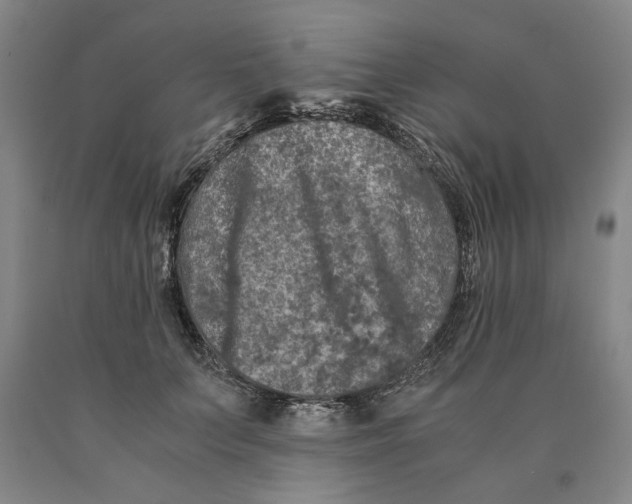 X0000089920703200707271736