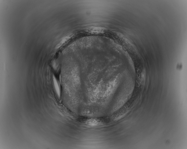 X0000089920704200707271736