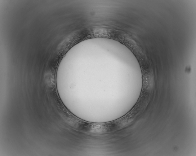 X0000089920705200707271736