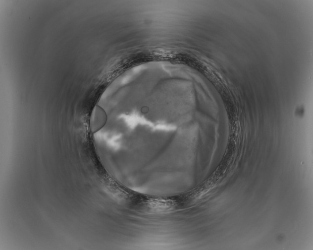 X0000089920707200707271736