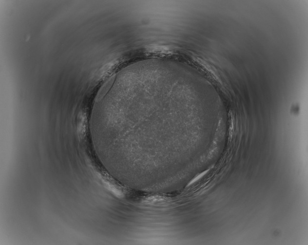 X0000089920708200707271736