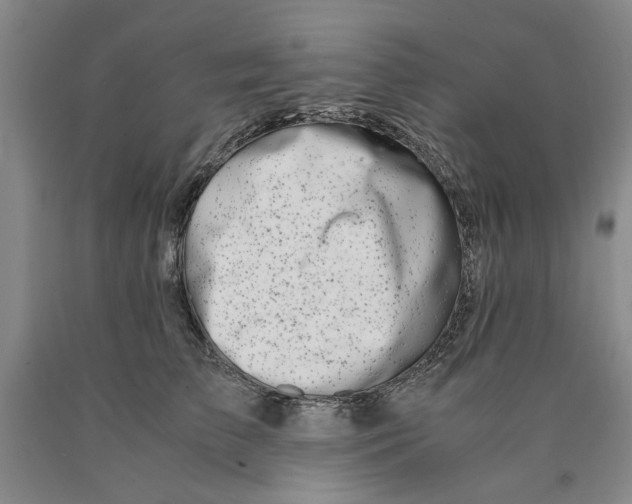 X0000089920709200707271736