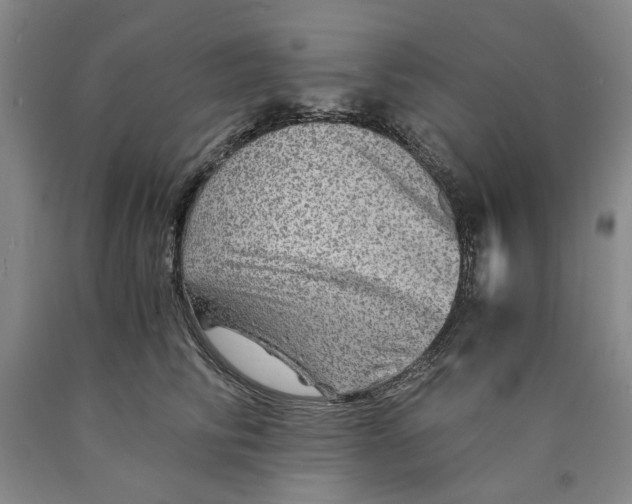 X0000089920710200707271736