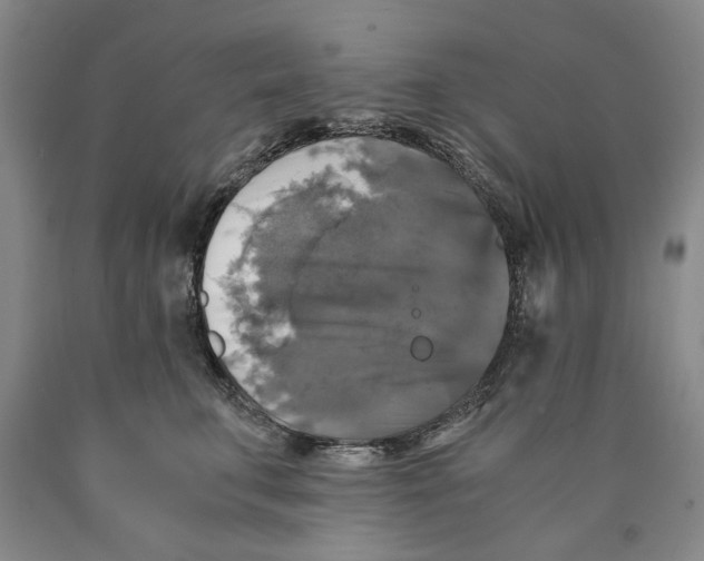 X0000089920711200707271736