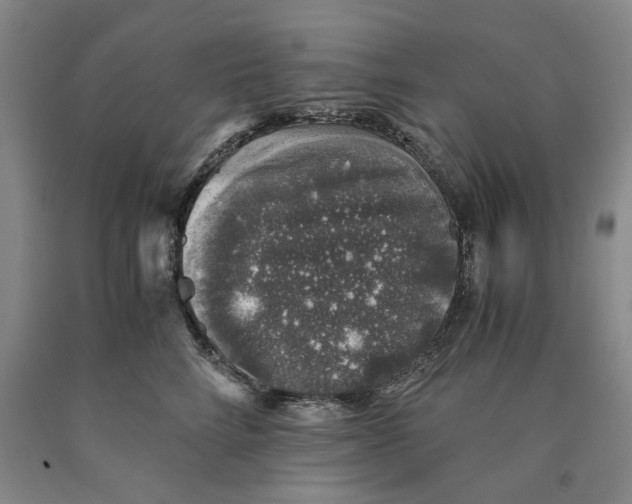 X0000089920712200707271736